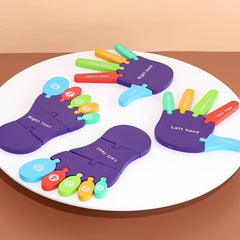 Colorful Wooden Hand & Foot 3D Jigsaw Puzzle for Kids