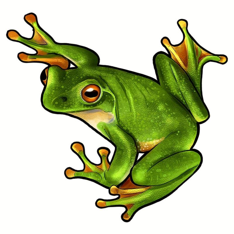Wooden Animal Puzzle Game Frog Pattern Wall Hanging Educational Toy