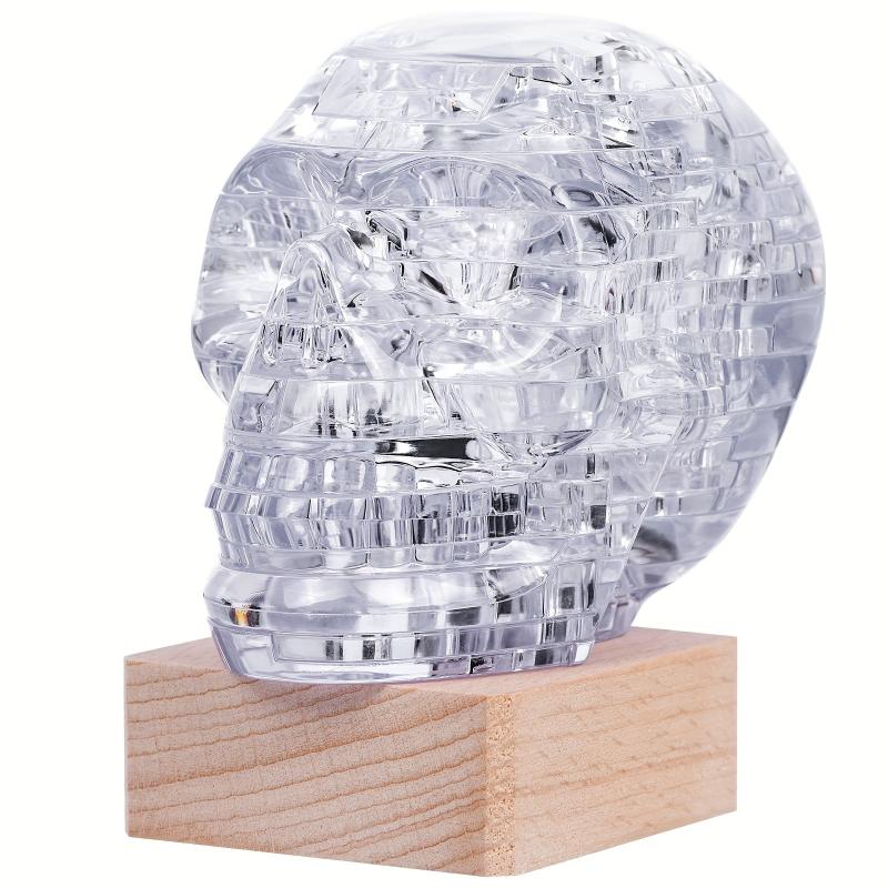 3D Skeleton Puzzle Lamp for Kids' Concentration