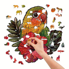 Colorful Parrot Wood Puzzle in Box