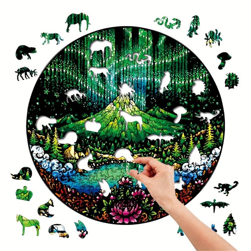 Aurora Disc Irregular Wooden Puzzle with Box