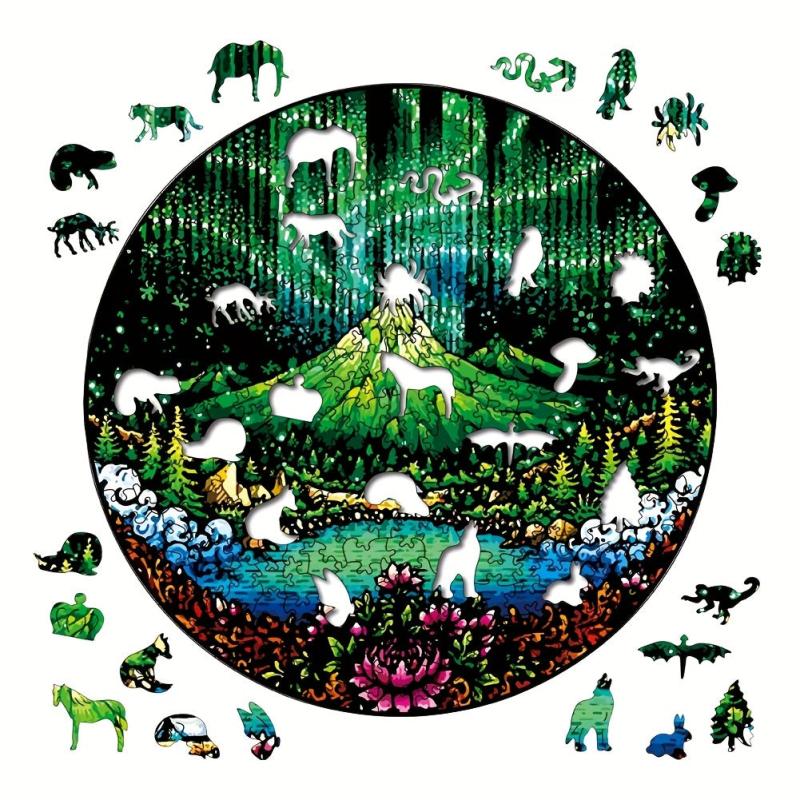 Aurora Disc Irregular Wooden Puzzle with Box