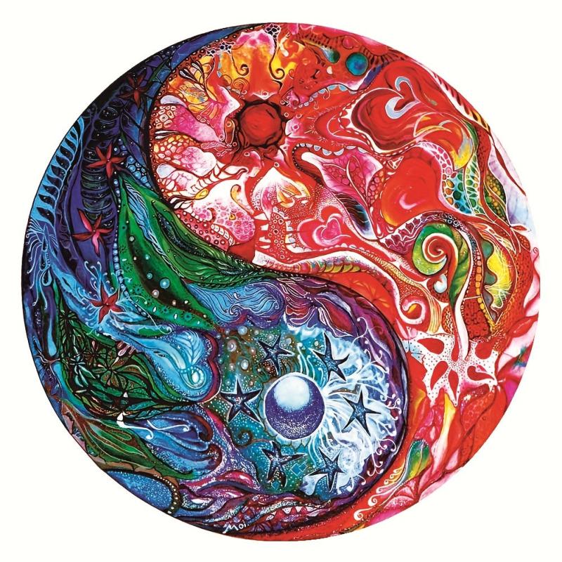 Exotic Tai Chi Wooden Puzzle With Box