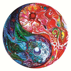 Exotic Tai Chi Wooden Puzzle With Box