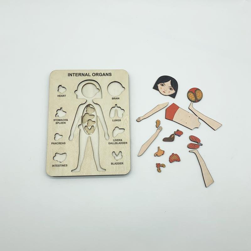 Montessori Human Body Puzzle Toys For Kids Girls Boys Preschool