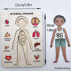 Montessori Human Body Puzzle Toys For Kids Girls Boys Preschool