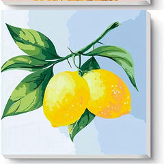 DIY Paint By Numbers Kit 20x20cm - Framed