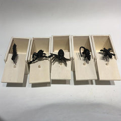 April Fool's Gift Scare Tricky Toy Simulation Spider Wooden Box