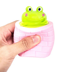 Educational Frog Squeeze Toy for Kids Anxiety Relief Fun