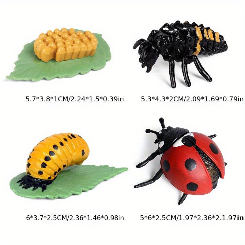 Animal Life Cycle Model Toys for Kids - Educational Insect Themed Party Favors