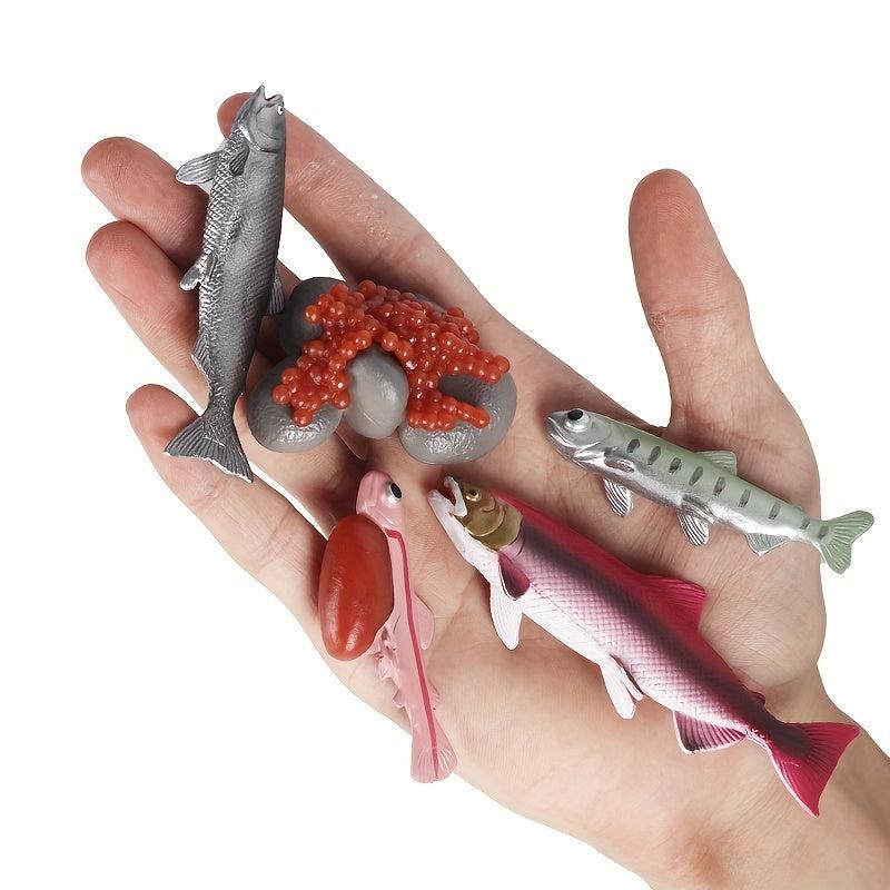 Animal Life Cycle Model Toys for Kids - Educational Insect Themed Party Favors