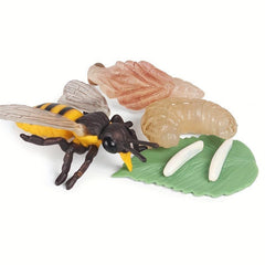 Animal Life Cycle Model Toys for Kids - Educational Insect Themed Party Favors