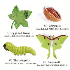 Animal Life Cycle Model Toys for Kids - Educational Insect Themed Party Favors