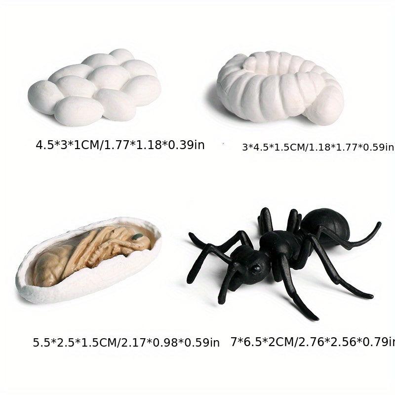 Animal Life Cycle Model Toys for Kids - Educational Insect Themed Party Favors