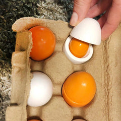Wooden Artificial Eggs DIY Toy Set for Children