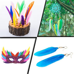 240 PCS Natural Feathers DIY Crafts 12 Colors 20pcs Per Pack