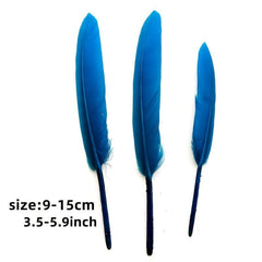 240 PCS Natural Feathers DIY Crafts 12 Colors 20pcs Per Pack