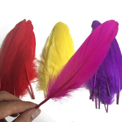 240 PCS Natural Feathers DIY Crafts 12 Colors 20pcs Per Pack