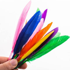 240 PCS Natural Feathers DIY Crafts 12 Colors 20pcs Per Pack