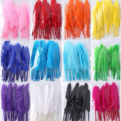 240 PCS Natural Feathers DIY Crafts 12 Colors 20pcs Per Pack