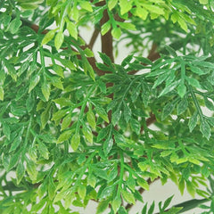 Micro Landscape Plastic Trees Set for Garden Table Decoration