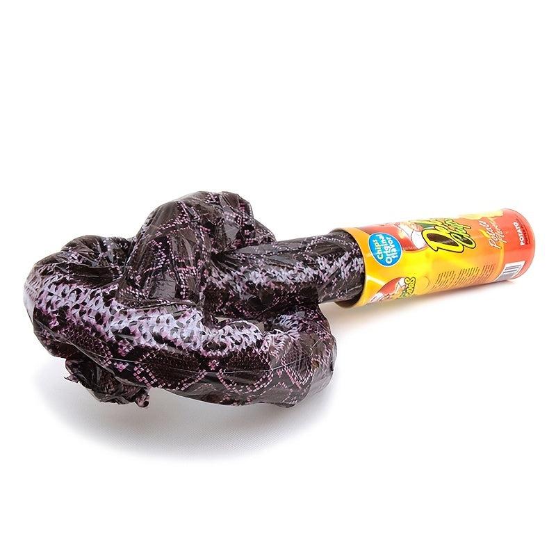 Prank Potato Chip Barrel Snake Trick
