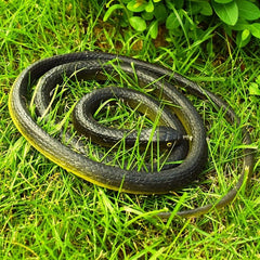 Highly Realistic Snake Halloween Essential Movie Prop Prank Scary Funny Toy