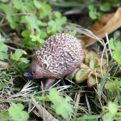 Hedgehog Garden Statues 4pcs Plastic Realistic Jungle Animals Cake Topper Decor