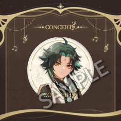 Anime Cartoon Concert Badges, Shining Tinplate Brooch, Funny Collection
