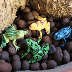 12 Mini Frogs Toy Set Realistic Decoration Frogs Rain Forest Lifelike Art