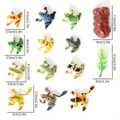 12 Mini Frogs Toy Set Realistic Decoration Frogs Rain Forest Lifelike Art