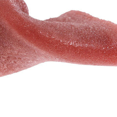 Stretchable Halloween Toy Tongue Prank Props