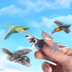 10pcs Foam Airplane Flying Bird Toys - Party Favor & Birthday Gift