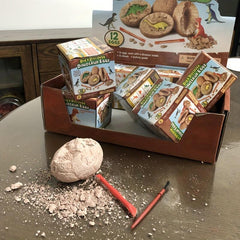 Dinosaur Eggs Treasure Digging Archaeological Toy