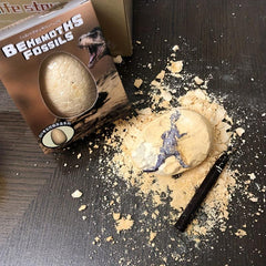 Dinosaur Eggs Treasure Digging Archaeological Toy