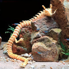 62inch 3D Printed Dragon Fish Tank Ornament Model Home Office Decoration