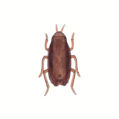 Electronic Cat Toy Cockroach Interactive Training Funny Toy