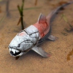 Prehistoric Cambrian Marine Animal Toys Mini Toy Cake Decorating Models