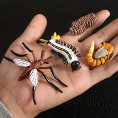 Hand Painted Animal & Insect Life Cycle Model Set
