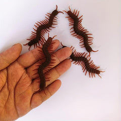 Scary Insect TPR Maggot Fly PVC Cockroach Toy