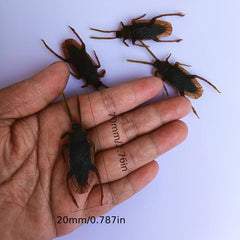 Scary Insect TPR Maggot Fly PVC Cockroach Toy