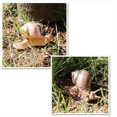 Simulated Animal Snail Novelty Toy