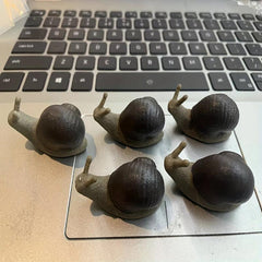 Ceramic Animal Snail Ornaments for Succulent Potted Plants