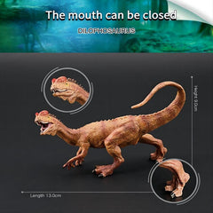 Simulation Dinosaur Series: Crown Dragon, T-Rex, Quick Dragon...