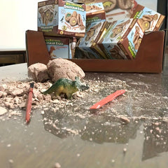 Dinosaur Egg Excavation Kit for Kids