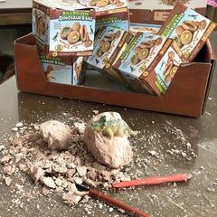 Dinosaur Egg Excavation Kit for Kids