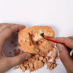 Dinosaur Egg Excavation Kit for Kids