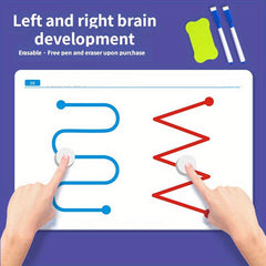 Left & Right Brain Development Toys: Whole Brain Thinking Training
