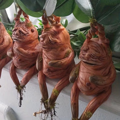 Mandrake Resin Statue Outdoor Decor Micro Landscape Ornament Gift