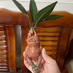 Mandrake Resin Statue Outdoor Decor Micro Landscape Ornament Gift